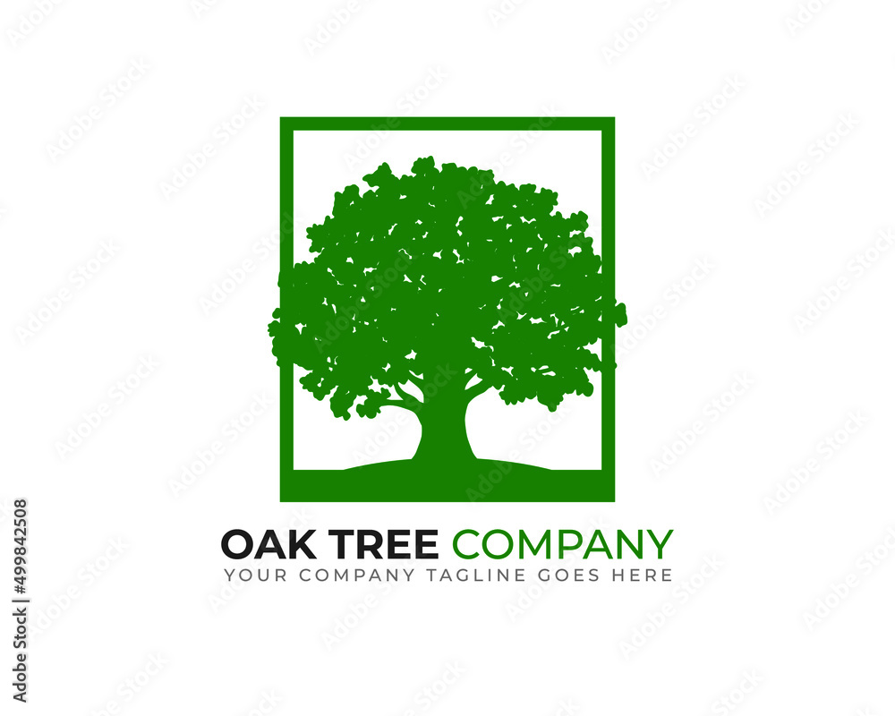 oak tree inside green square frame