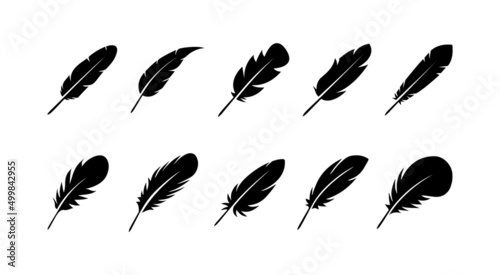 Fotografia Bird feathers icon set isolated on white background