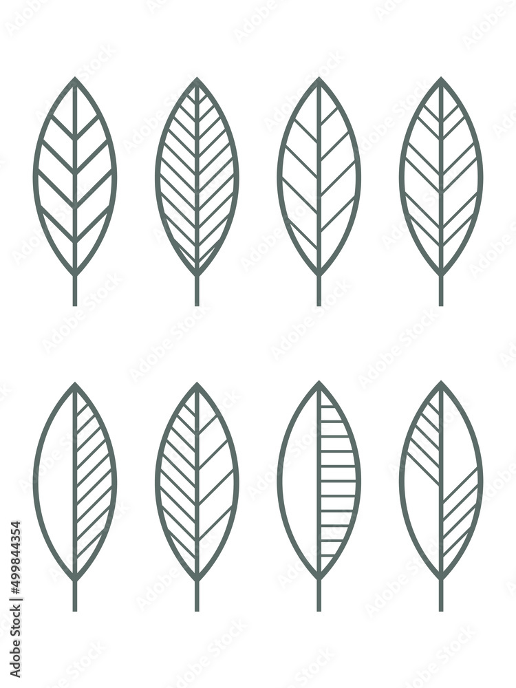 Leaf icons vector set. Contour line leaves illustration isolated on white. Floral design element for print, background, banner or card. Leaf icons vector set. Contour line leaves illustration isolated on white. Floral design element for print, background, banner or card.