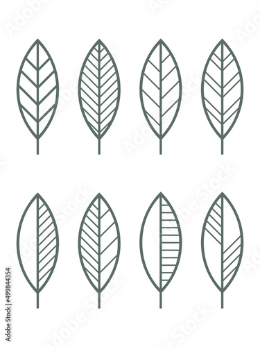 Leaf icons vector set. Contour line leaves illustration isolated on white. Floral design element for print, background, banner or card. © Oksana