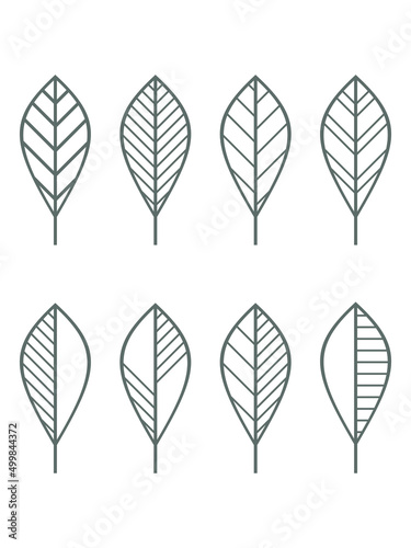 Vector set of leaf icons. Contour line leaves illustration isolated on white. Floral design element for print, background, banner or card. © Oksana