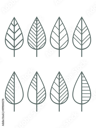 Monochrome leaf icons vector set. Contour line leaves illustration isolated on white. Floral design element for print, background, banner or card.