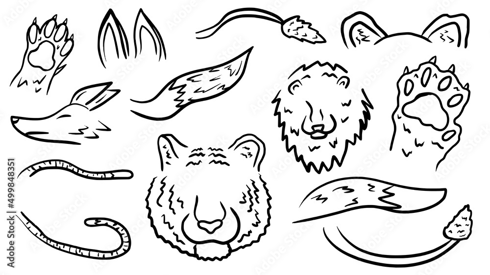 animal body part hand drawn doodle outline vector template illustration collection for education infographic and coloring book animal body part hand drawn doodle outline vector template illustration collection for education infographic and coloring book
