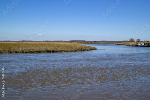 Fototapeta Naklejka Na Ścianę i Meble -  Tidal estuary flowing to the Delaware Bay. Also known as a coastal salt marsh or tidal marsh it is home to blue crabs which are an economically important marine shellfish.