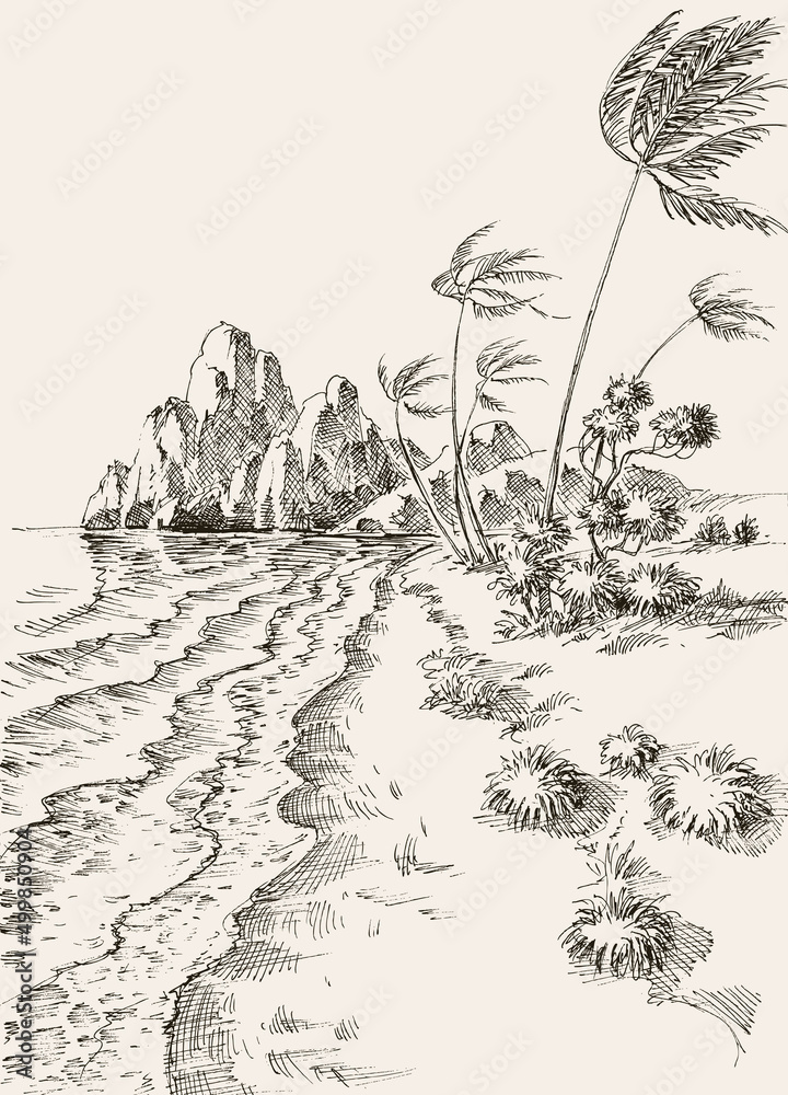Windy day at the beach hand drawing. Wind in the palm trees landscape