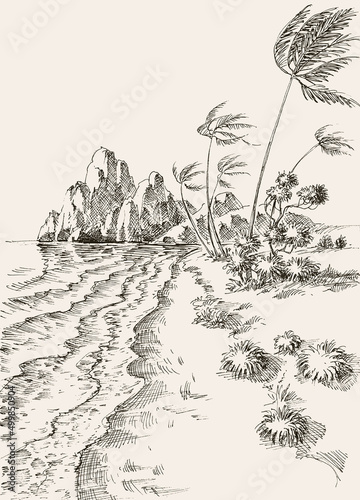 Windy day at the beach hand drawing. Wind in the palm trees landscape photo