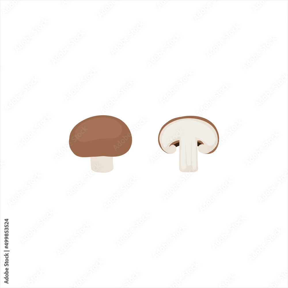 mushroom isolated on white background mushroom isolated on white background