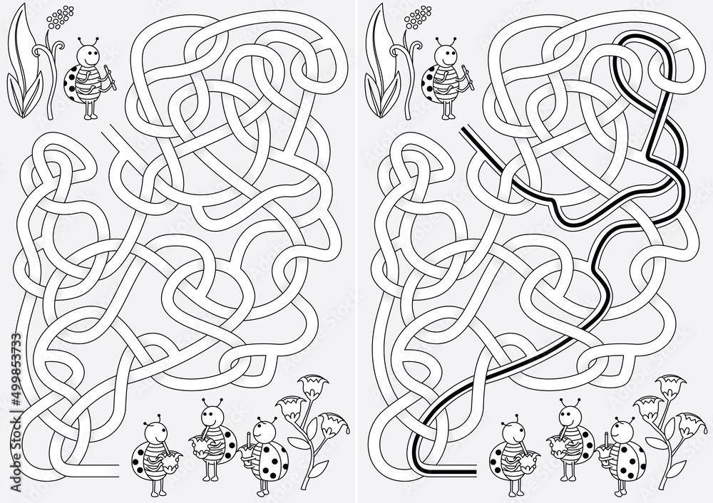 Obraz premium Ladybug maze