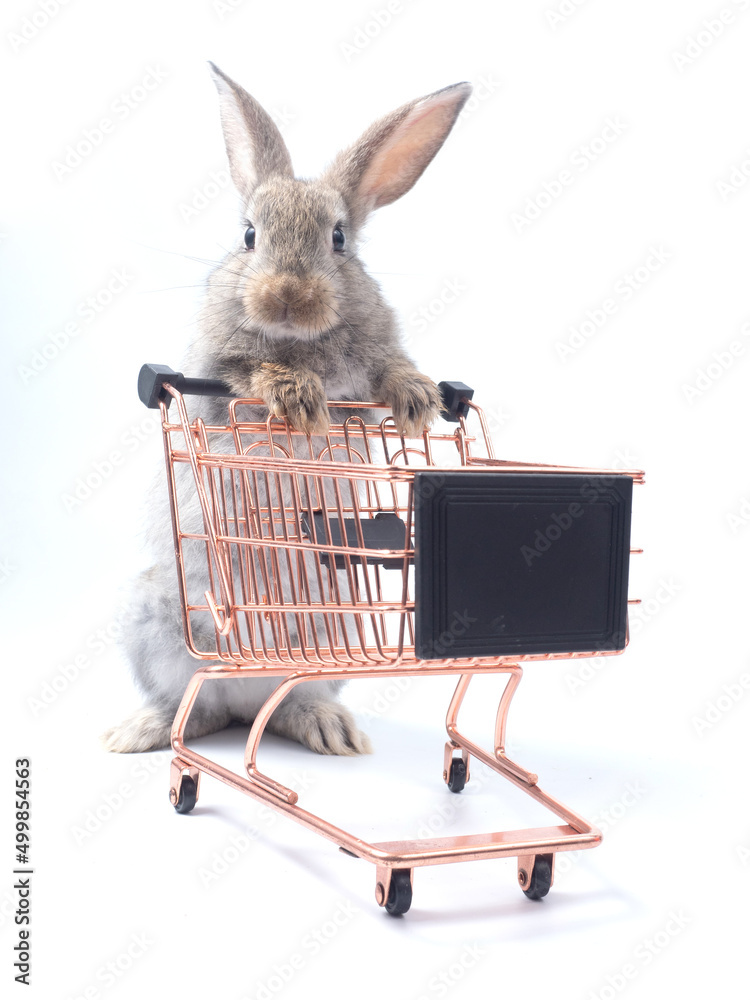 Baby cart online sale