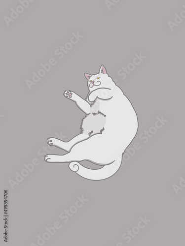 Draw cartoon cats in different poses character collection cute cat. style. Set of purebred pet animals isolated on background