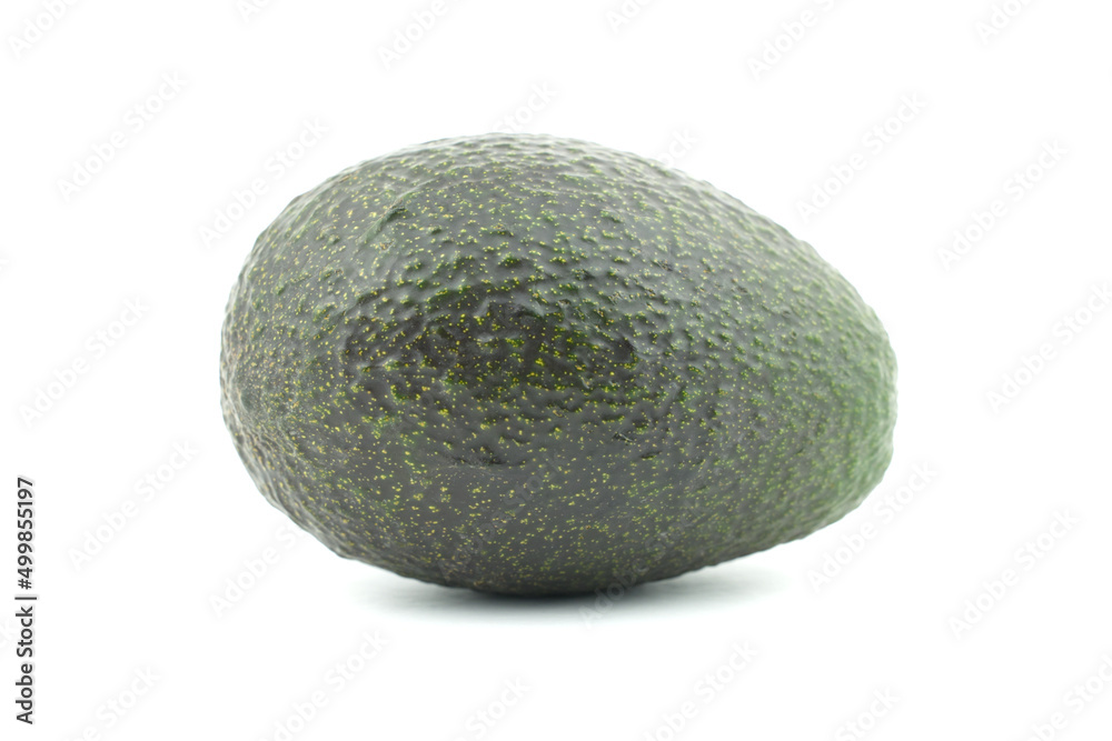 Close up a single avocado (Persea americana)whole isolated on white background. Oranic ripe fresh tropical fruit set on a horizontal Close up a single avocado (Persea americana)whole isolated on white background. Oranic ripe fresh tropical fruit set on a horizontal