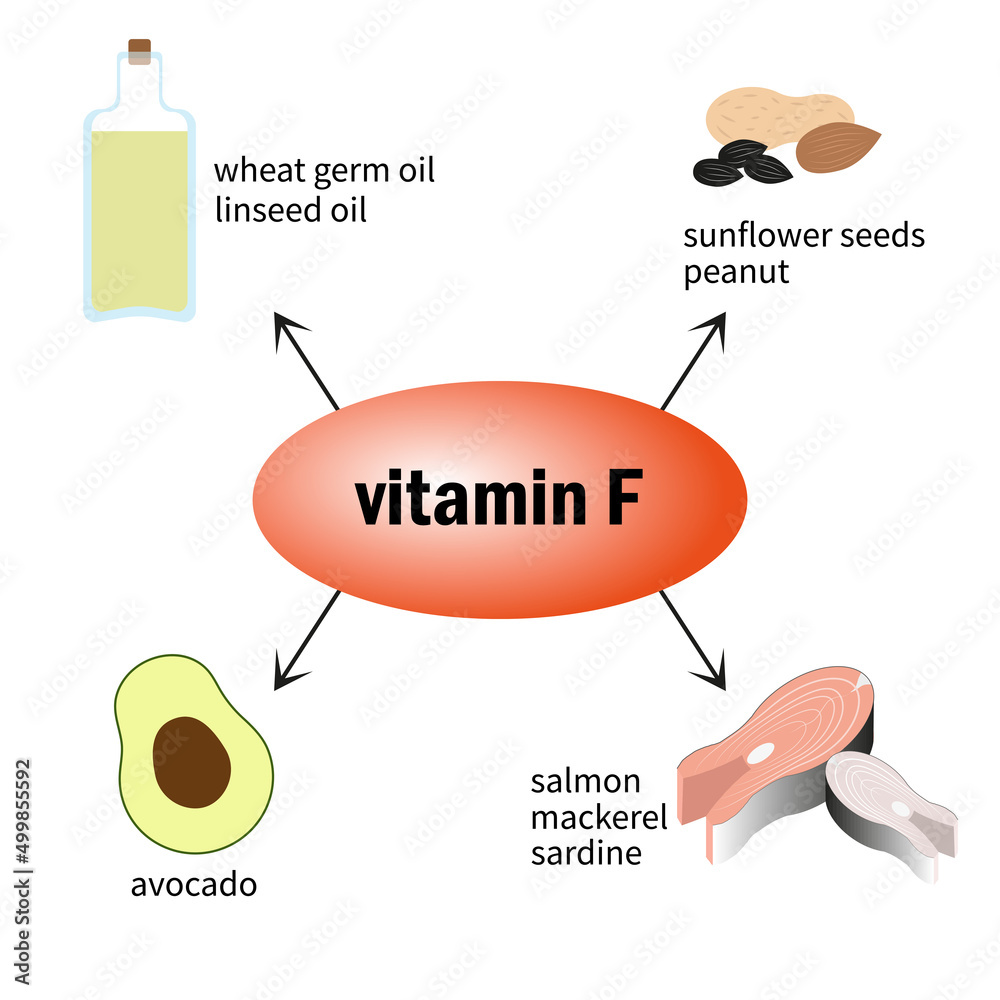 Foods containing vitamin F (arachidonic, linoleic and linolenic acids