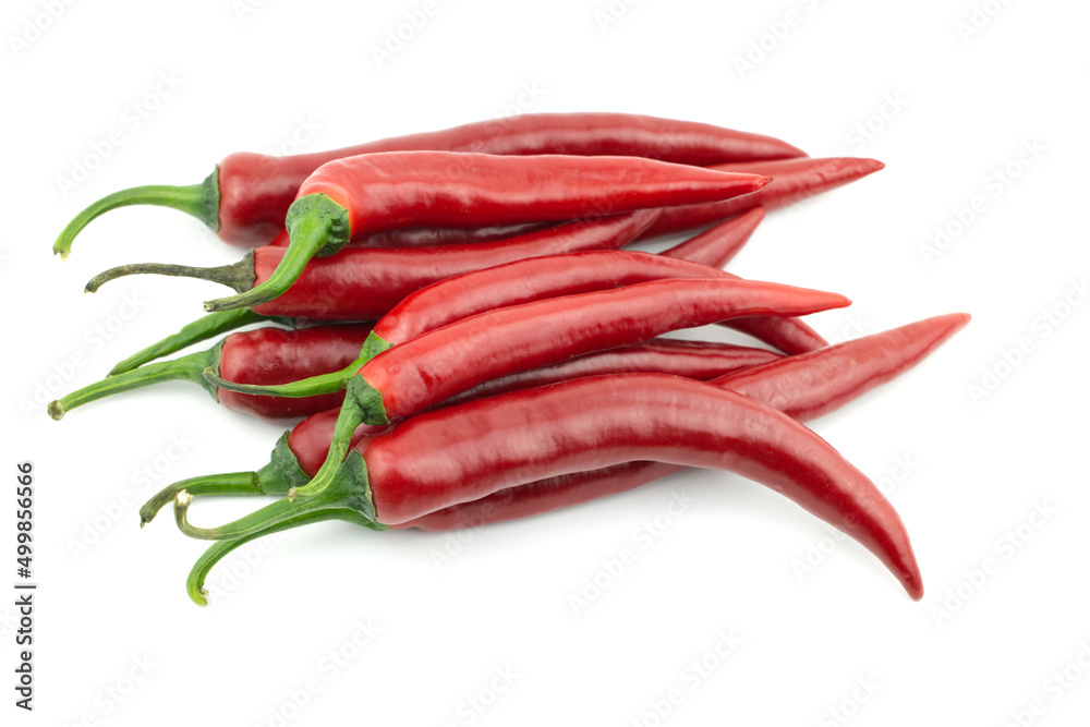 A group of fresh raw ripe hot organic red chili peppers whole isolated on white background clipping path