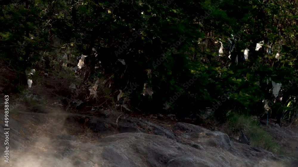 Steam rising from the warm thermal waters of Rio Caliente river shore in El Salvador with cloths hanging from trees, Wide pan right shot Steam rising from the warm thermal waters of Rio Caliente river shore in El Salvador with cloths hanging from trees, Wide pan right shot