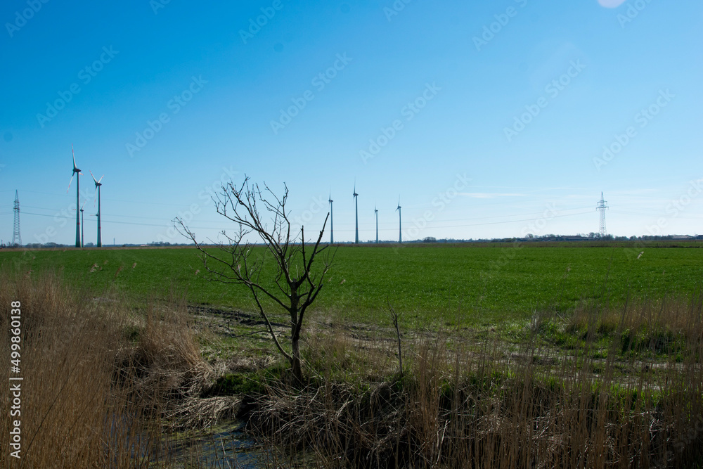 field and sky field and sky