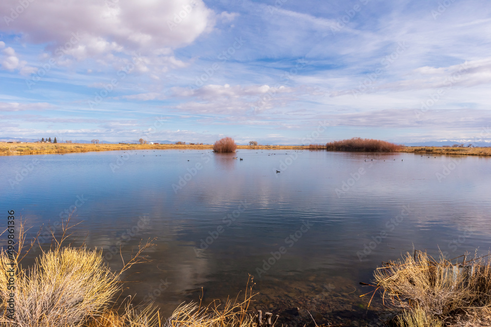 Early Spring in Monte Vista National Wildlife Refuge, Southern Colorado