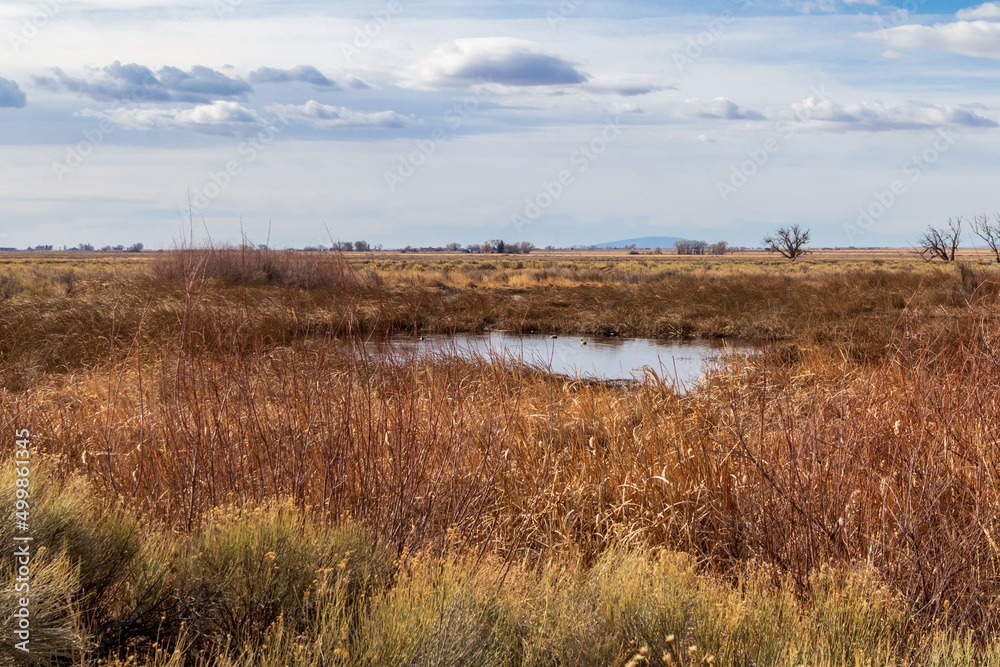 Early Spring in Monte Vista National Wildlife Refuge, Southern Colorado