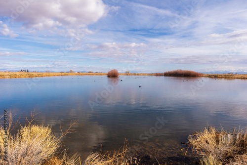 Early Spring in Monte Vista National Wildlife Refuge  Southern Colorado