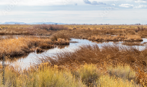 Early Spring in Monte Vista National Wildlife Refuge  Southern Colorado
