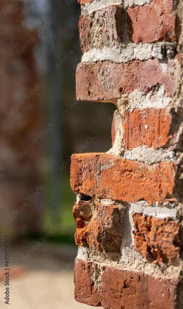 Nahaufnahme einer alten Ziegelsteinmauer im Schlosspark von Putbus, Insel Rügen