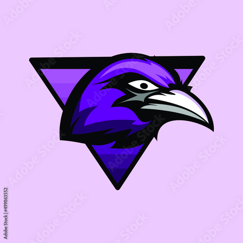 Raven sport mascot logo design