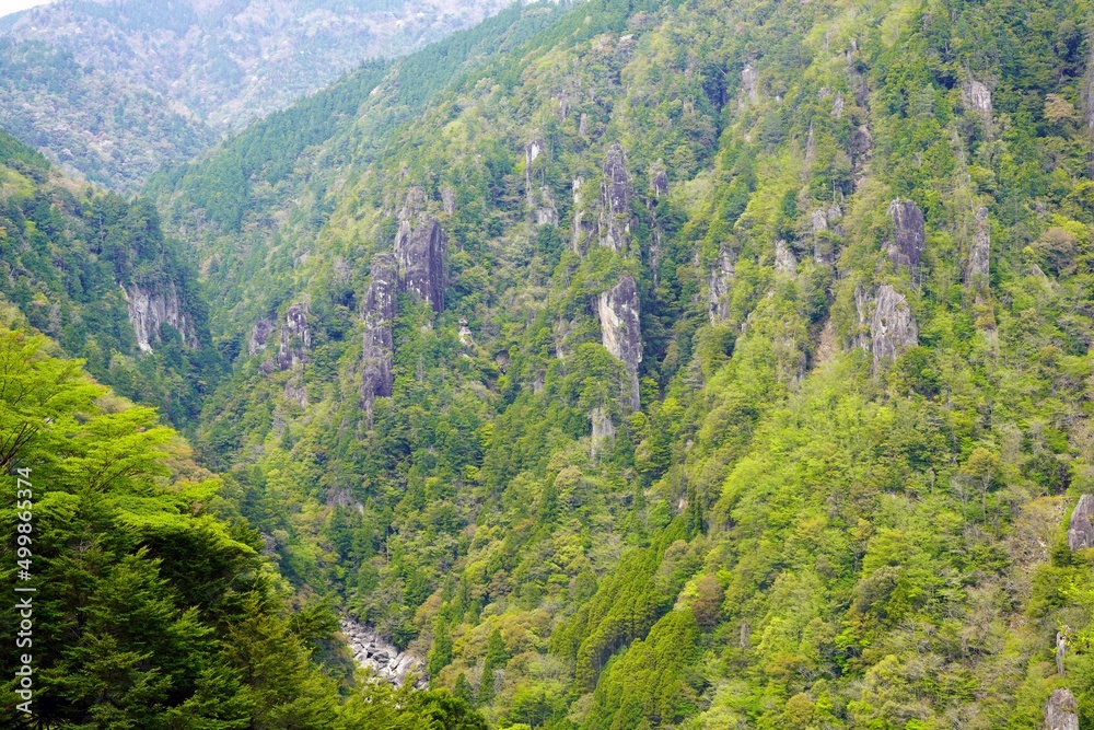 石ヤ塔春景色