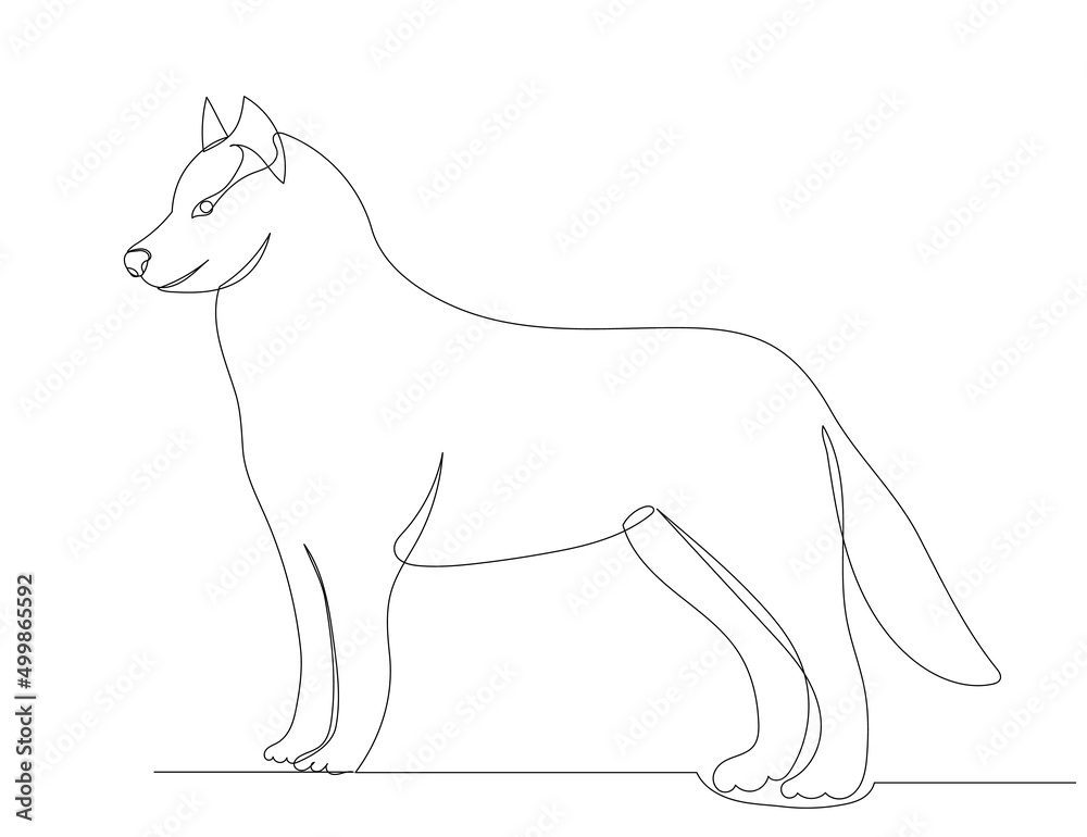 Fototapeta premium wolf drawing by one continuous line, sketch, vector