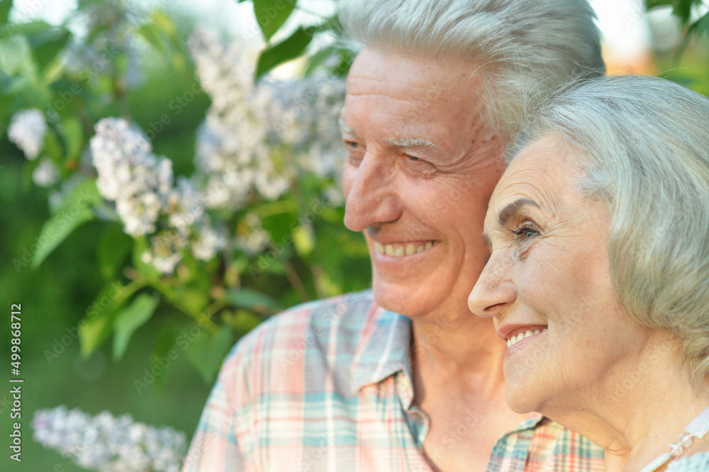 Beautiful senior couple posing in the summer park