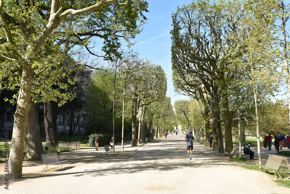 Fototapeta premium Courir au parc