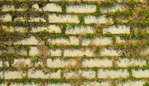 White brick pattern on green grass. Top view of brick floor and green grass.
