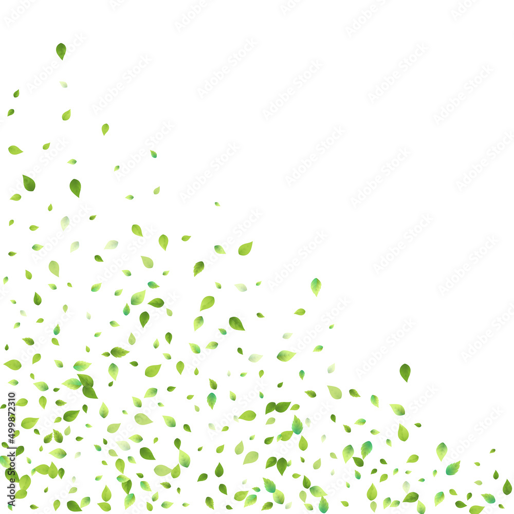 Fototapeta premium Leaves Green Falling Flying Foliage Leaf Tea Mint