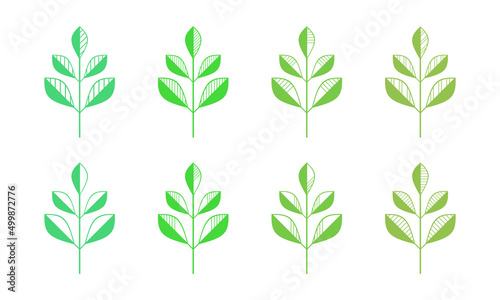 Geometric branches icons vector set. Contour line leaves illustration isolated on white. Floral design element for print, background, banner or card.