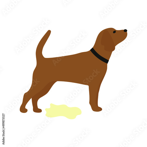 Dog in a collar and a yellow puddle on a white background