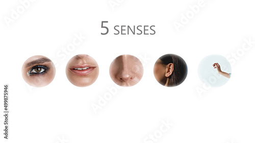 A bunch of 5 senses - hearing, smell, taste, touch, sight. Set of human sense organs in circles isolated on white background. collage in modern line art style photo