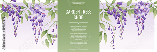 Banner with purple wisteria. Shop for flowers and garden plants. Poster,template, cover, web banner for product advertising.