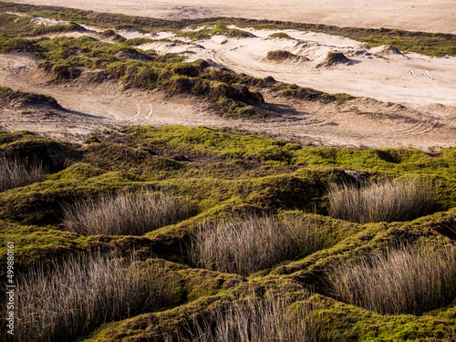 Trujillo, Peru: Aerial view of the coast and the plantation of reeds that are used for the manufacture of Caballitos de totora, small traditional boats from the north of Peru photo