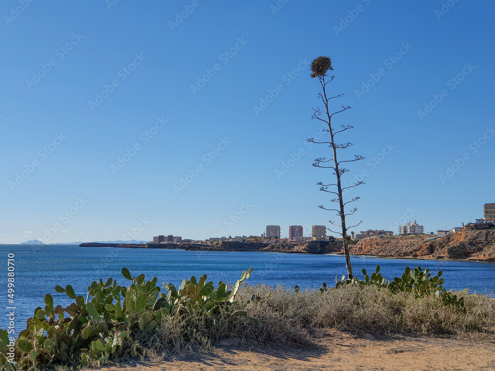 Fototapeta premium Vega Baja del Segura - Torrevieja - Paisajes de Cabo Cervera y espacio natural de calas junto al mar.