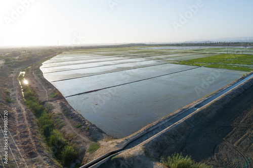 Piura, Peru: Aerial view of rice fields in the Chira river valley, very close to Amotape and Sullana photo