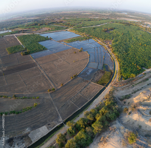 Piura, Peru: Aerial view of rice fields in the Chira river valley, very close to Amotape and Sullana photo