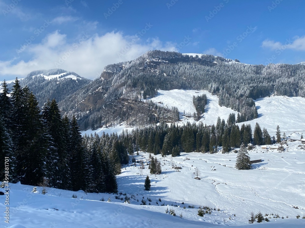 Beautiful winter ambience in the alpine valley of the Lutheren stream, at the foot of the Alpstein mountain range and in the Obertoggenburg region - Nesslau, Switzerland (Schweiz)