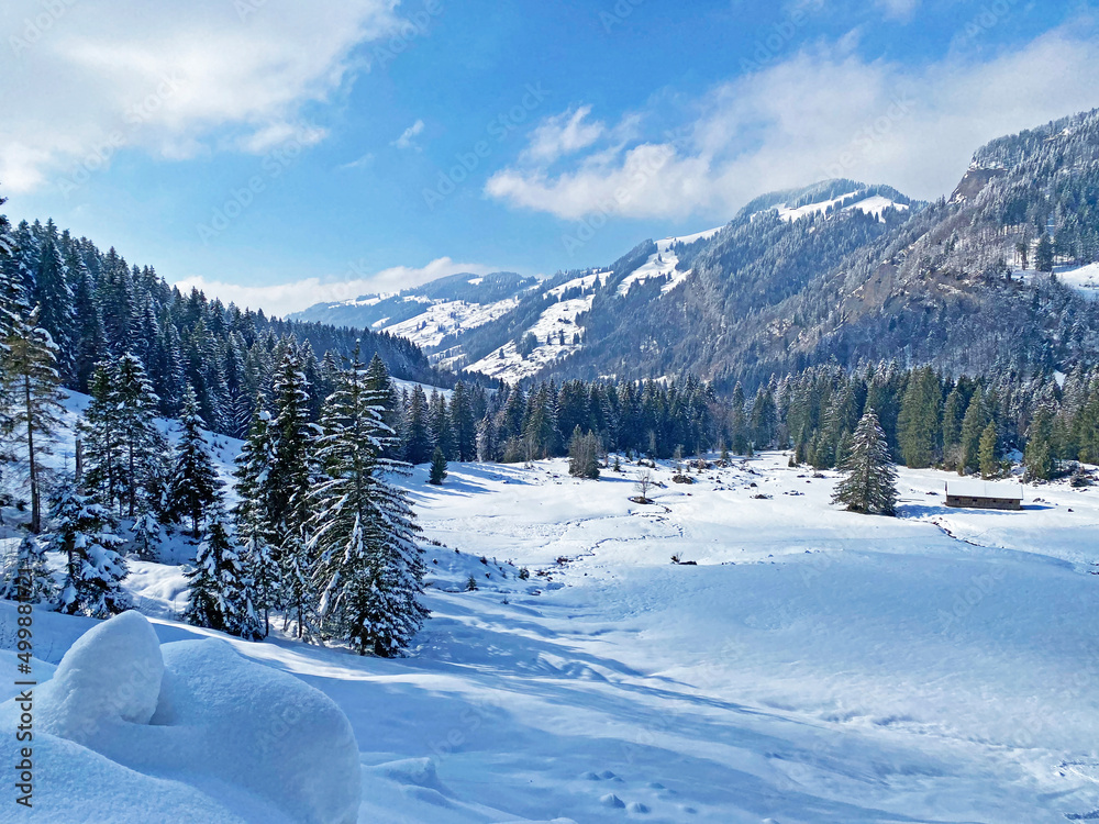 Beautiful winter ambience in the alpine valley of the Lutheren stream, at the foot of the Alpstein mountain range and in the Obertoggenburg region - Nesslau, Switzerland (Schweiz)