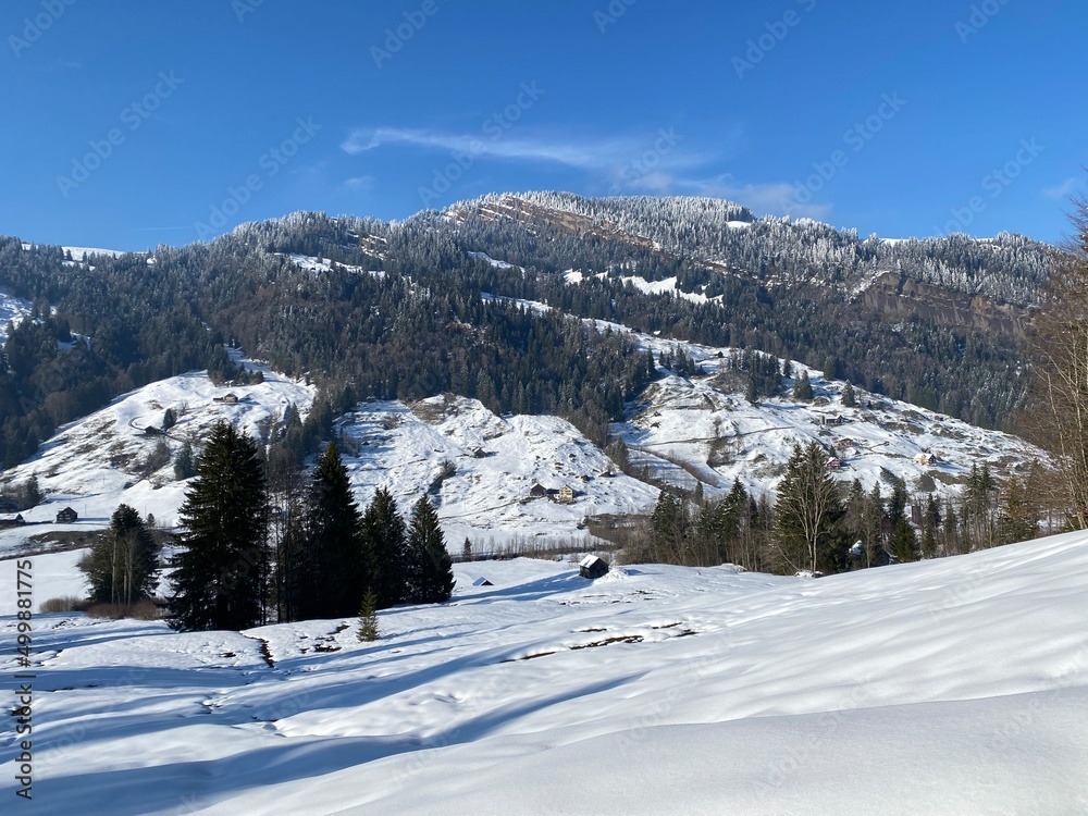 Beautiful winter ambience in the alpine valley of the Lutheren stream, at the foot of the Alpstein mountain range and in the Obertoggenburg region - Nesslau, Switzerland (Schweiz)