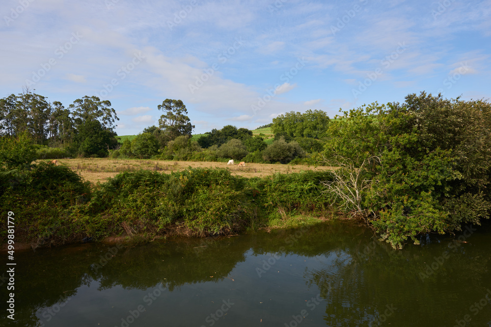 A river with vegetation along its banks under a cloudy sky