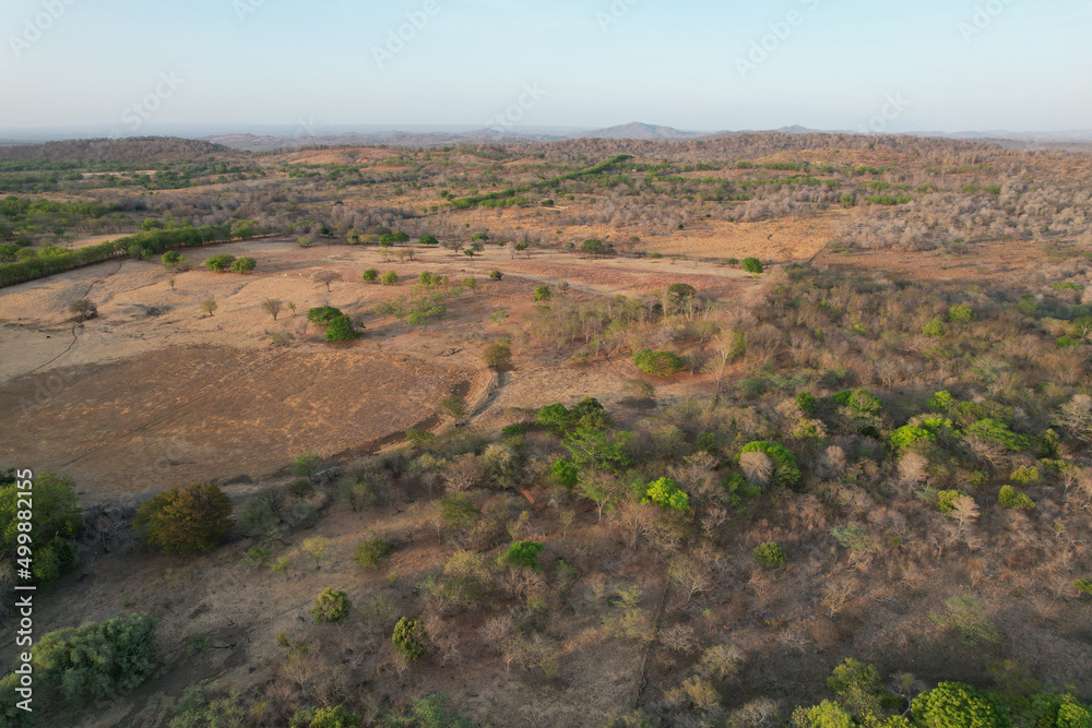 Meadow landscape in dry season Meadow landscape in dry season