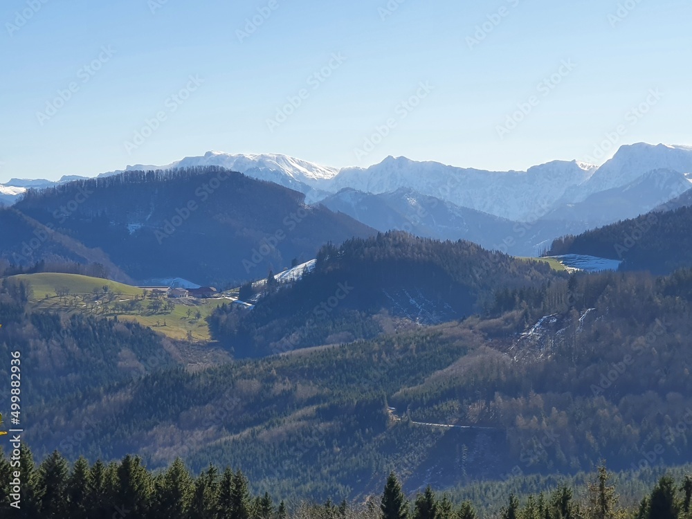 Obraz premium Frühling