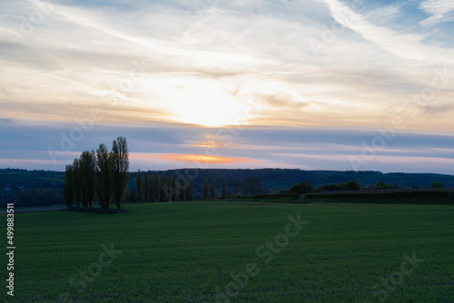 A spring landscape with rolling hills in the south of Limburg during a spectacular sunset with a row of poplar trees, creating the feeling of being in the Siena Province of Italy. 