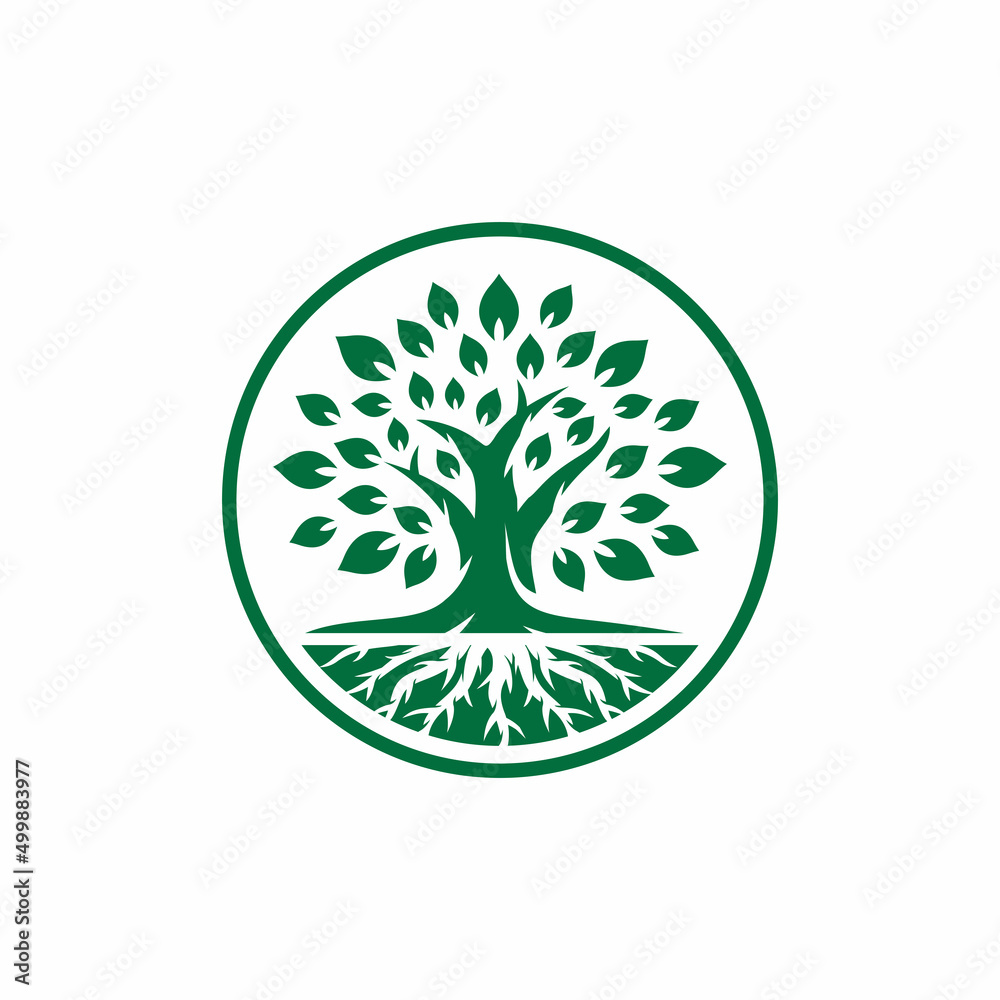 Oak tree logo design vector illustration Oak tree logo design vector illustration
