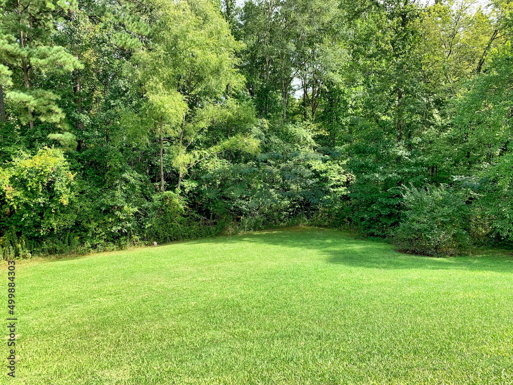 Obraz premium Nature and Landscape Setting