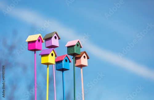 Photography welcome to a group of colorful wooden birdhouses against the blue sky in the spr