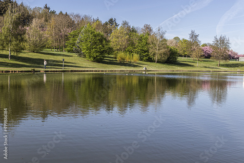 reflection of trees in lake